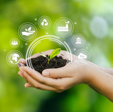 Green Procurement Program